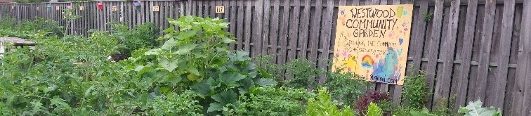 La viabilité environnementale et les coopératives