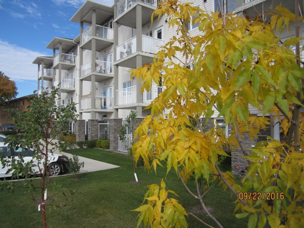 Immeuble de logements coopératifs de quatre étages avec des balcons, des voitures garées et des arbres aux feuilles vertes et jaunes au premier plan ; l'horodatage indique 09/22/2016.