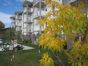 Viellir chez soi: Gérer une coopérative d’habitation pour aînés