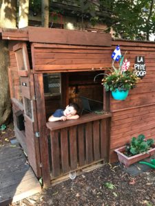 Coop Côte-des-Neiges : Une communauté coopérative montréalaise bien établie